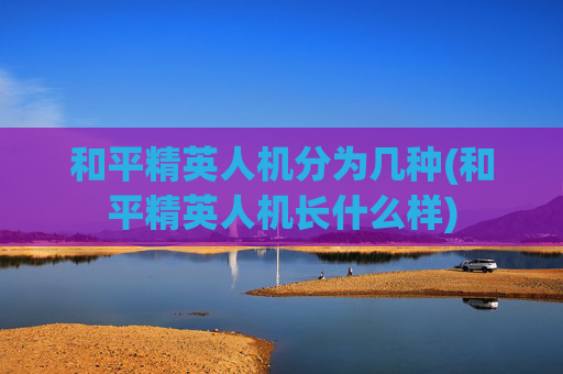 和平精英人机分为几种(和平精英人机长什么样)