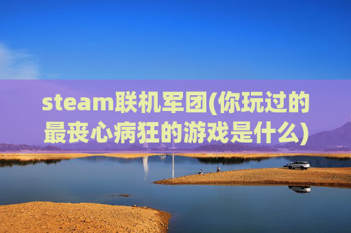 steam联机军团(你玩过的最丧心病狂的游戏是什么)