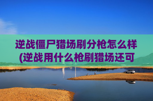 逆战僵尸猎场刷分枪怎么样(逆战用什么枪刷猎场还可以的)