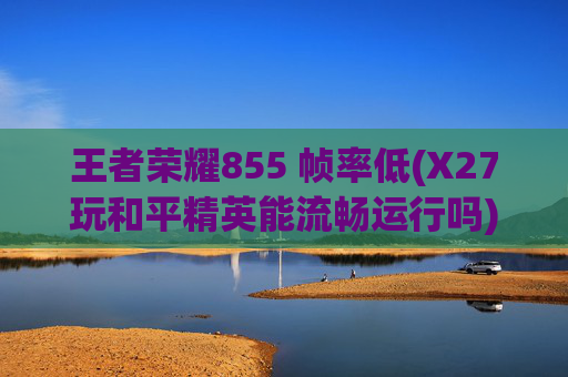 王者荣耀855 帧率低(X27玩和平精英能流畅运行吗)