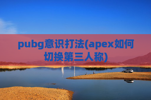 pubg意识打法(apex如何切换第三人称)
