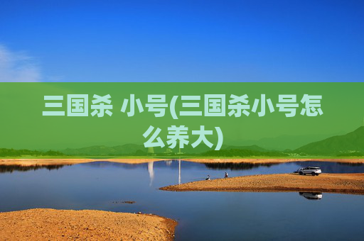 三国杀 小号(三国杀小号怎么养大)