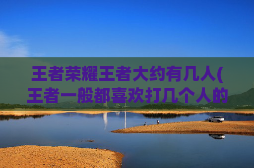 王者荣耀王者大约有几人(王者一般都喜欢打几个人的)
