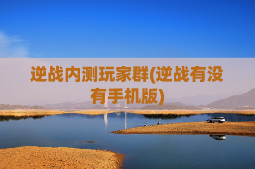 逆战内测玩家群(逆战有没有手机版)