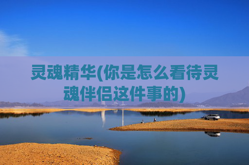 灵魂精华(你是怎么看待灵魂伴侣这件事的)