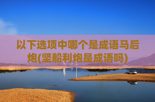 以下选项中哪个是成语马后炮(坚船利炮是成语吗)