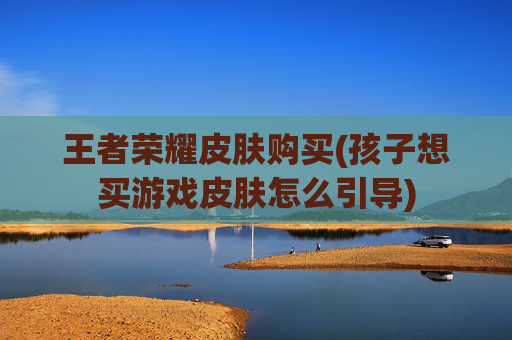 王者荣耀皮肤购买(孩子想买游戏皮肤怎么引导)