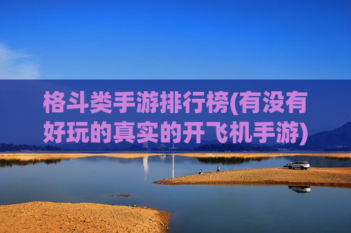 格斗类手游排行榜(有没有好玩的真实的开飞机手游)