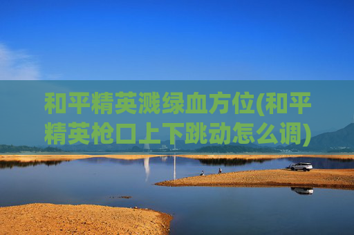 和平精英溅绿血方位(和平精英枪口上下跳动怎么调)