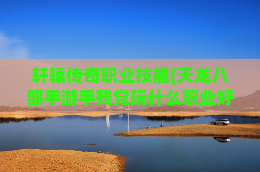 轩辕传奇职业技能(天龙八部手游手残党玩什么职业好)