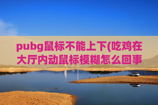 pubg鼠标不能上下(吃鸡在大厅内动鼠标模糊怎么回事)