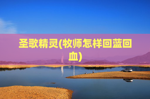 圣歌精灵(牧师怎样回蓝回血)