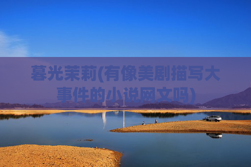 暮光茉莉(有像美剧描写大事件的小说网文吗)