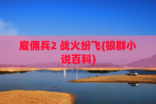 雇佣兵2 战火纷飞(狼群小说百科)