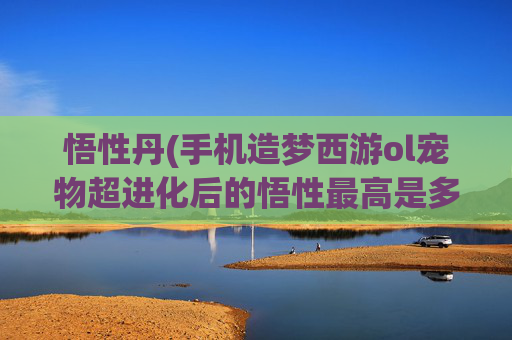 悟性丹(手机造梦西游ol宠物超进化后的悟性最高是多少)