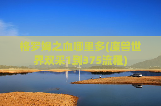 格罗姆之血哪里多(魔兽世界双采1到375流程)