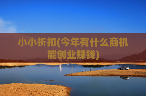 小小折扣(今年有什么商机能创业赚钱)