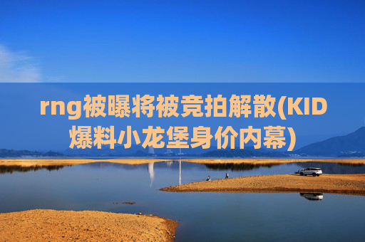 rng被曝将被竞拍解散(KID爆料小龙堡身价内幕)