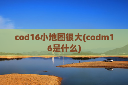 cod16小地图很大(codm16是什么)