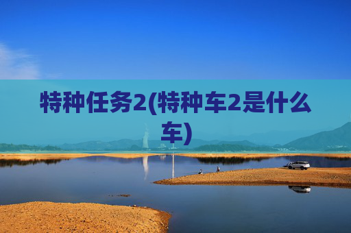 特种任务2(特种车2是什么车)