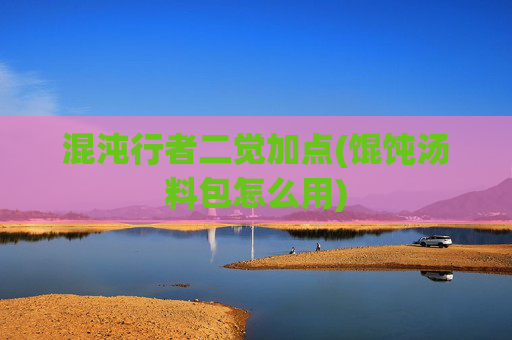 混沌行者二觉加点(馄饨汤料包怎么用)