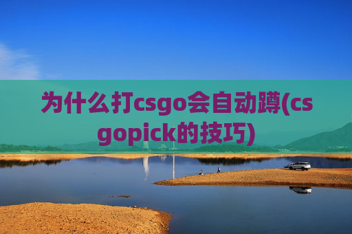 为什么打csgo会自动蹲(csgopick的技巧)