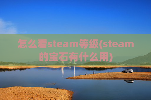 怎么看steam等级(steam的宝石有什么用)