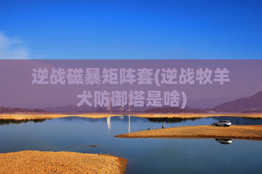 逆战磁暴矩阵套(逆战牧羊犬防御塔是啥)