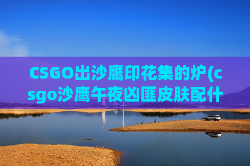CSGO出沙鹰印花集的炉(csgo沙鹰午夜凶匪皮肤配什么贴纸)