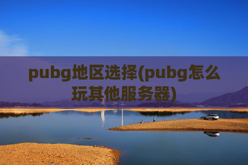pubg地区选择(pubg怎么玩其他服务器)