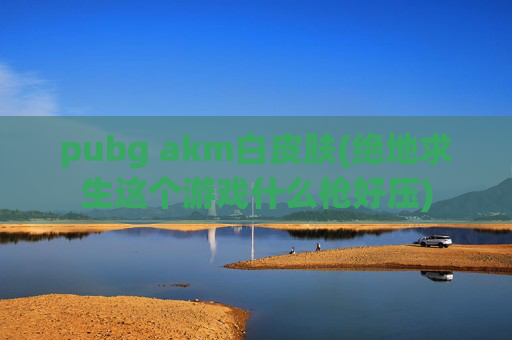 pubg akm白皮肤(绝地求生这个游戏什么枪好压)
