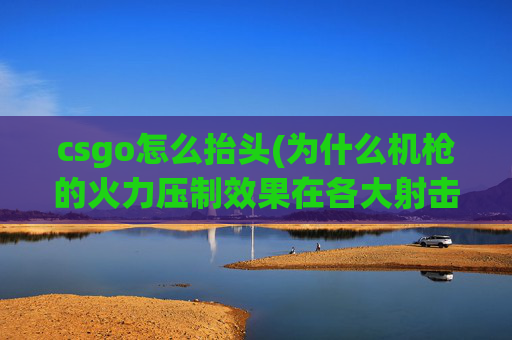 csgo怎么抬头(为什么机枪的火力压制效果在各大射击游戏里没有什么显著的作用)