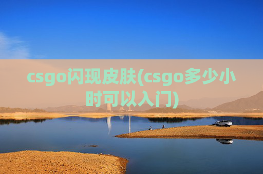 csgo闪现皮肤(csgo多少小时可以入门)