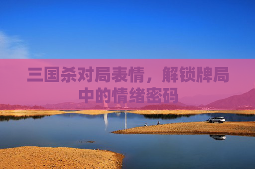 三国杀对局表情，解锁牌局中的情绪密码
