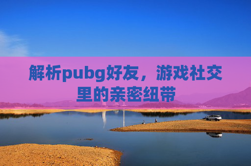解析pubg好友，游戏社交里的亲密纽带