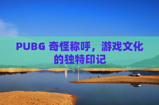 PUBG 奇怪称呼，游戏文化的独特印记