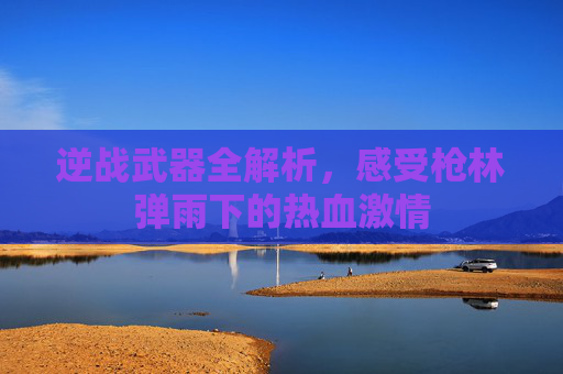 逆战武器全解析，感受枪林弹雨下的热血激情