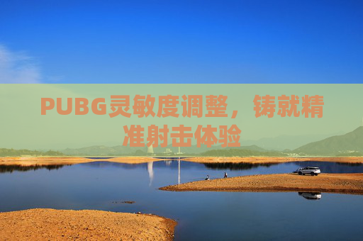 PUBG灵敏度调整，铸就精准射击体验