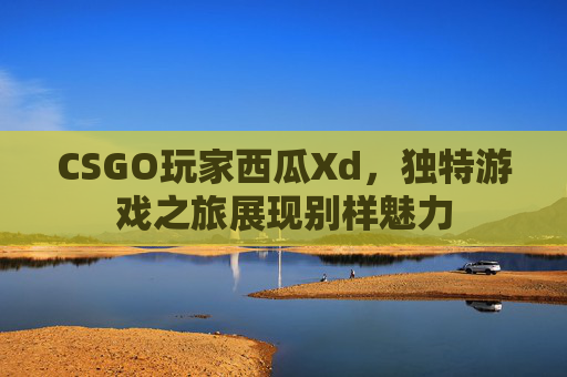 CSGO玩家西瓜Xd，独特游戏之旅展现别样魅力