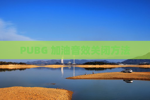 PUBG 加油音效关闭方法