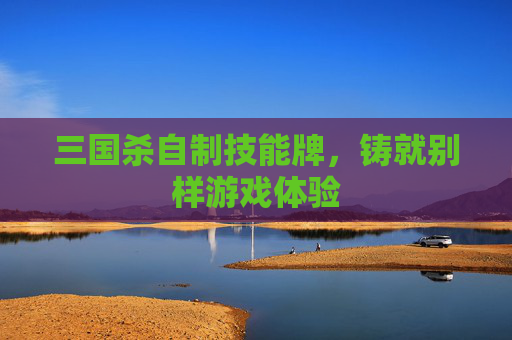 三国杀自制技能牌，铸就别样游戏体验