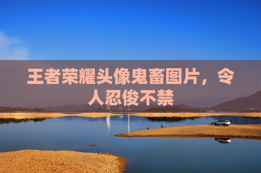 王者荣耀头像鬼畜图片,令人忍俊不禁