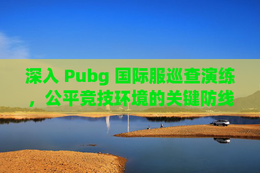 深入 Pubg 国际服巡查演练,公平竞技环境的关键防线