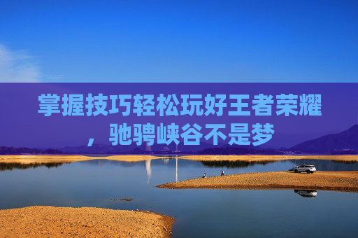 掌握技巧轻松玩好王者荣耀，驰骋峡谷不是梦