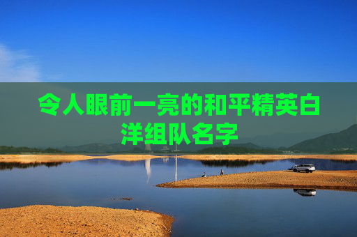 令人眼前一亮的和平精英白洋组队名字
