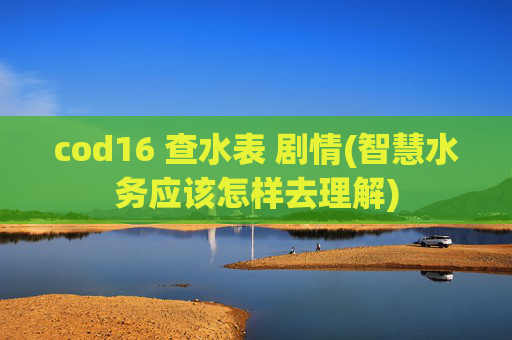 cod16 查水表 剧情(智慧水务应该怎样去理解)