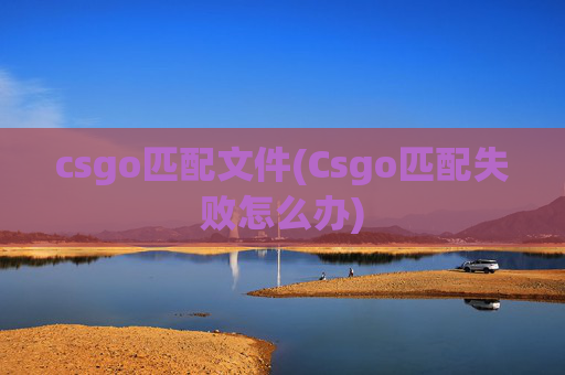 csgo匹配文件(Csgo匹配失败怎么办)