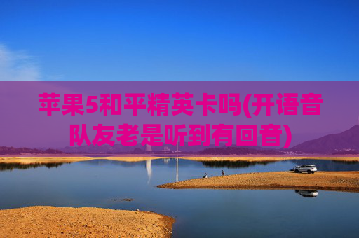 苹果5和平精英卡吗(开语音队友老是听到有回音)