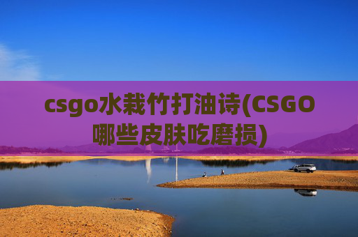 csgo水栽竹打油诗(CSGO哪些皮肤吃磨损)
