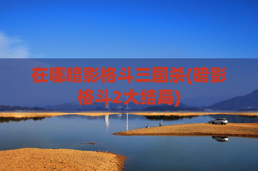 在哪暗影格斗三国杀(暗影格斗2大结局)